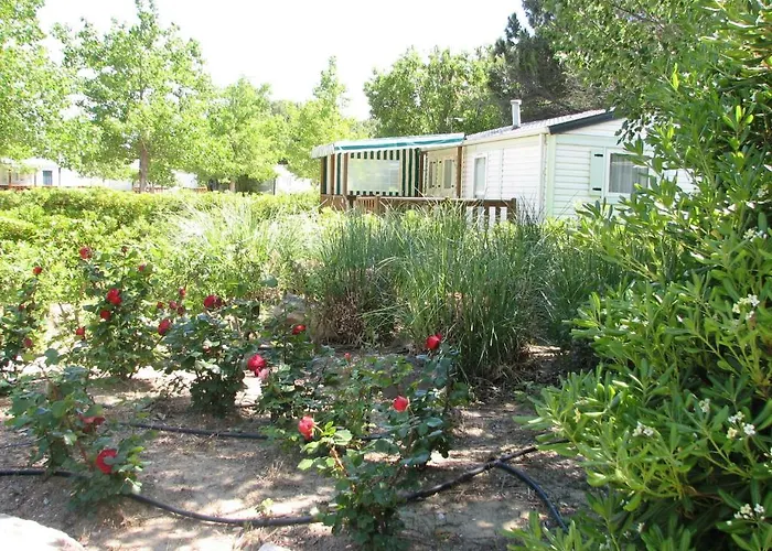 Camping Rives Des Corbieres 3*